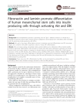 Fibronectin and laminin promote differentiation of human mesenchymal stem cells into insulin producing cells through activating Akt and ERK