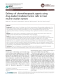 Delivery of chemotherapeutic agents using drug-loaded irradiated tumor cells to treat murine ovarian tumors