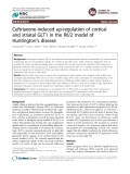 Ceftriaxone-induced up-regulation of cortical and striatal GLT1 in the R6/2 model of Huntington’s disease