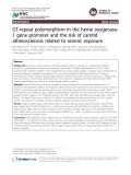 GT-repeat polymorphism in the heme oxygenase1 gene promoter and the risk of carotid atherosclerosis related to arsenic exposure