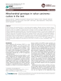 Mitochondrial genotype in vulvar carcinoma cuckoo in the nest