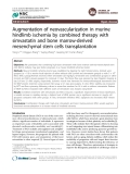 Augmentation of neovascularization in murine hindlimb ischemia by combined therapy with simvastatin and bone marrow-derived mesenchymal stem cells transplantation