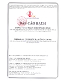 BẢN CÁO BẠCH CÔNG TY CỔ PHẦN ÁNH DƯƠNG NĂM 2009