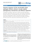 Báo cáo y học: "Genome sequence of the necrotrophic plant pathogen Pythium ultimum reveals original pathogenicity mechanisms and effector repertoire."