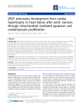 Báo cáo y học: "VEGF attenuates development from cardiac hypertrophy to heart failure after aortic stenosis through mitochondrial mediated apoptosis and cardiomyocyte proliferation"