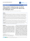 Báo cáo y học: "Video-assisted mediastinoscopic transhiatal esophagectomy combined with laparoscopy for esophageal cancer"