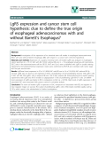 báo cáo khoa học: " LgR5 expression and cancer stem cell hypothesis: clue to define the true origin of esophageal adenocarcinomas with and without Barrett’s Esophagus?"