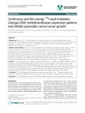 báo cáo khoa học: " Continuous and low-energy 125I seed irradiation changes DNA methyltransferases expression patterns and inhibits pancreatic cancer tumor growth"