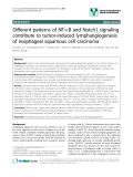 báo cáo khoa học: "Different patterns of NF-B and Notch1 signaling contribute to tumor-induced lymphangiogenesis of esophageal squamous cell carcinoma"