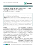 báo cáo khoa học: " Activation of the hedgehog pathway in chronic myelogeneous leukemia patients"
