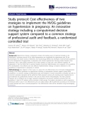 báo cáo khoa học: " Study protocol: Cost effectiveness of two strategies to implement the NVOG guidelines on hypertension in pregnancy: An innovative strategy including a computerised decision support system compared to a common strategy of professional audit and feedback, a randomized controlled trial"