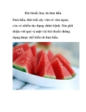 Bài thuốc hay từ dưa hấu 