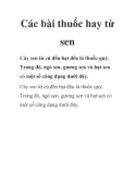 Các bài thuốc hay từ sen