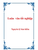 Luân  văn: Nguyên lý bảo hiểm