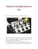 Nguyên lý hoạt động chung của EFI 