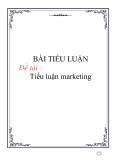 Tiểu luận marketing