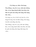 Cây húng cay chữa viêm họng 