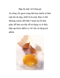 Đẹp da mặt với trứng gà