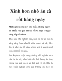 Xinh hơn nhờ ăn cà rốt hàng ngày