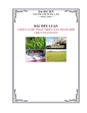 CHIẾN LƯỢC PHÁT TRIỂN SẢN PHẨM MỚI CHO VINAVETCO