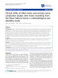 Báo cáo y học: " Clinical utility of tibial motor and sensory nerve conduction studies with motor recording from the flexor hallucis brevis: a methodological and reliability study"