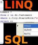 Thực thi các biểu thức SQL tùy biến (LINQ to SQL phần 8)