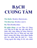 BẠCH CƯƠNG TÀM