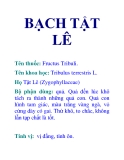 BẠCH TẬT LÊ