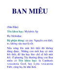 BAN MIÊU