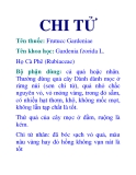 CHI TỬ