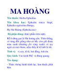 MA HOÀNG