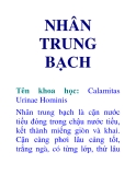 NHÂN TRUNG BẠCH