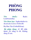 PHÒNG PHONG