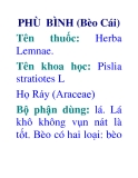 PHÙ BÌNH