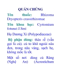 QUÁN CHÚNG 