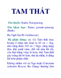 TAM THẤT