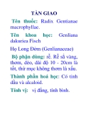 TẦN GIAO