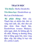 THẠCH HỘC 