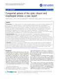 Báo cáo y học: "Congenital aplasia of the optic chiasm and esophageal atresia: a case report"