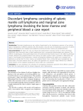 báo cáo khoa học: "Discordant lymphoma consisting of splenic mantle cell lymphoma and marginal zone lymphoma involving the bone marrow and peripheral blood: a case report"