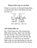 Phòng tránh cong vẹo cột sống