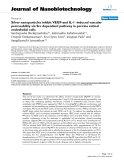 báo cáo khoa học: " Silver nanoparticles inhibit VEGF-and IL-1 -induced vascular permeability via Src dependent pathway in porcine retinal endothelial cells"