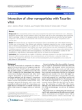 báo cáo khoa học: " Interaction of silver nanoparticles with Tacaribe virus"