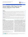 Thermal Stability of RNA Phage Virus-Like Particles Displaying Foreign Peptides