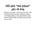 Đối phó “thủ phạm” gây dị ứng