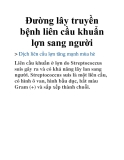 Đường lây truyền bệnh liên cầu khuẩn lợn sang người