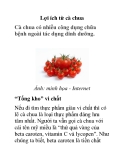 Lợi ích từ cà chua
