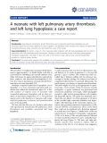 Báo cáo y học: "A neonate with left pulmonary artery thrombosis and left lung hypoplasia: a case report"