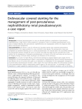 báo cáo khoa học: " Endovascular covered stenting for the management of post-percutaneous nephrolithotomy renal pseudoaneurysm: a case report"