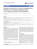 báo cáo khoa học: "Hemolytic anemia due to acute cytomegalovirus infection in an immunocompetent adult: a case report and review of the literature"